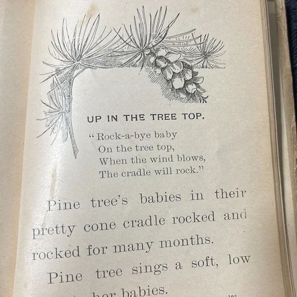First Edition (1898) “Plant Babies and Their Cradles”, Educational Pub. Co. - Picture 13 of 15